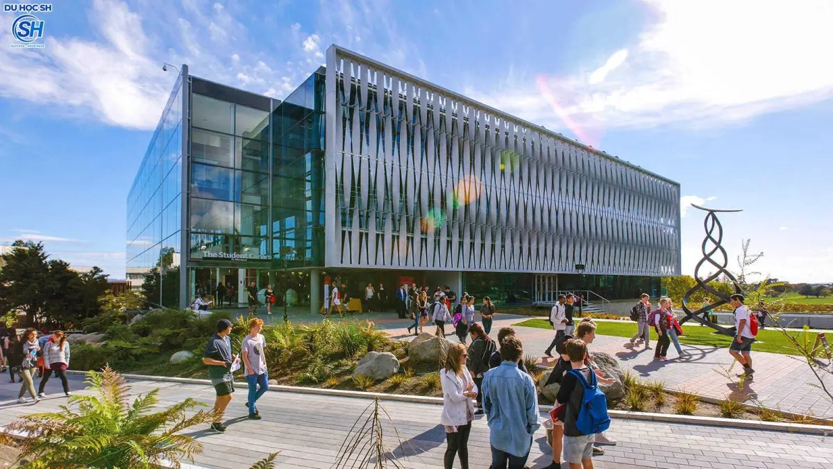 Tại sao nên du học New Zealand