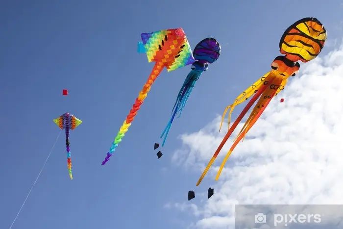 Eltham Kite Fly Day (NZKA)