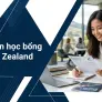 Cách xin học bổng tại New Zealand