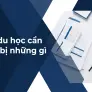 Hồ sơ du học New Zealand cần chuẩn bị những gì